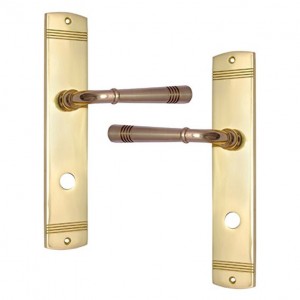 "Jared" Brass Door Handle with Plate 